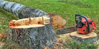 Monee, IL Tree Services Company
